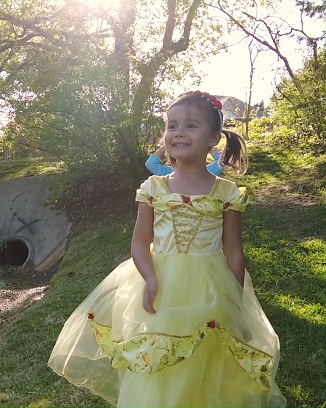 white christmas dresses Deluxe Cinderella Butterfly Dress – The Plaid Giraffe main image 1