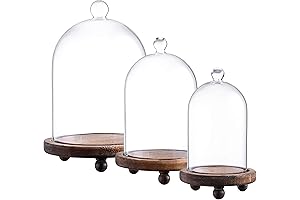 KMwares Glass Cloche Display Domes with Wood Bases