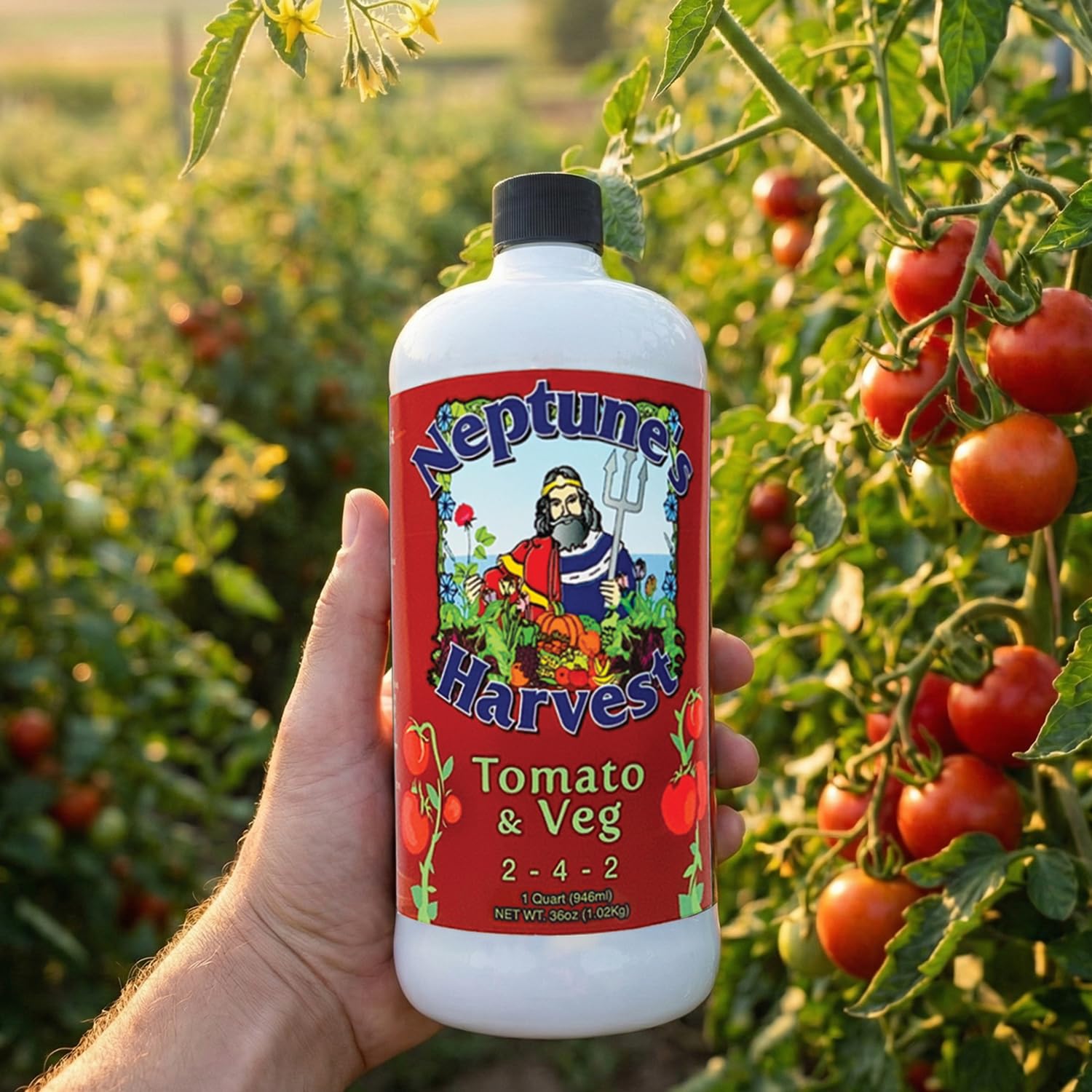 Neptune’s Harvest Organic Tomato & Vegetable Plant Fertilizer (2-4-2) - Liquid Plant Food w/Fresh Fish, Seaweed, Molasses, Yucca Extract, & Humic Acids - for Vegetable Garden (Quart (Single))