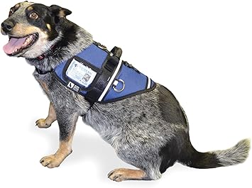 service dog gear amazon