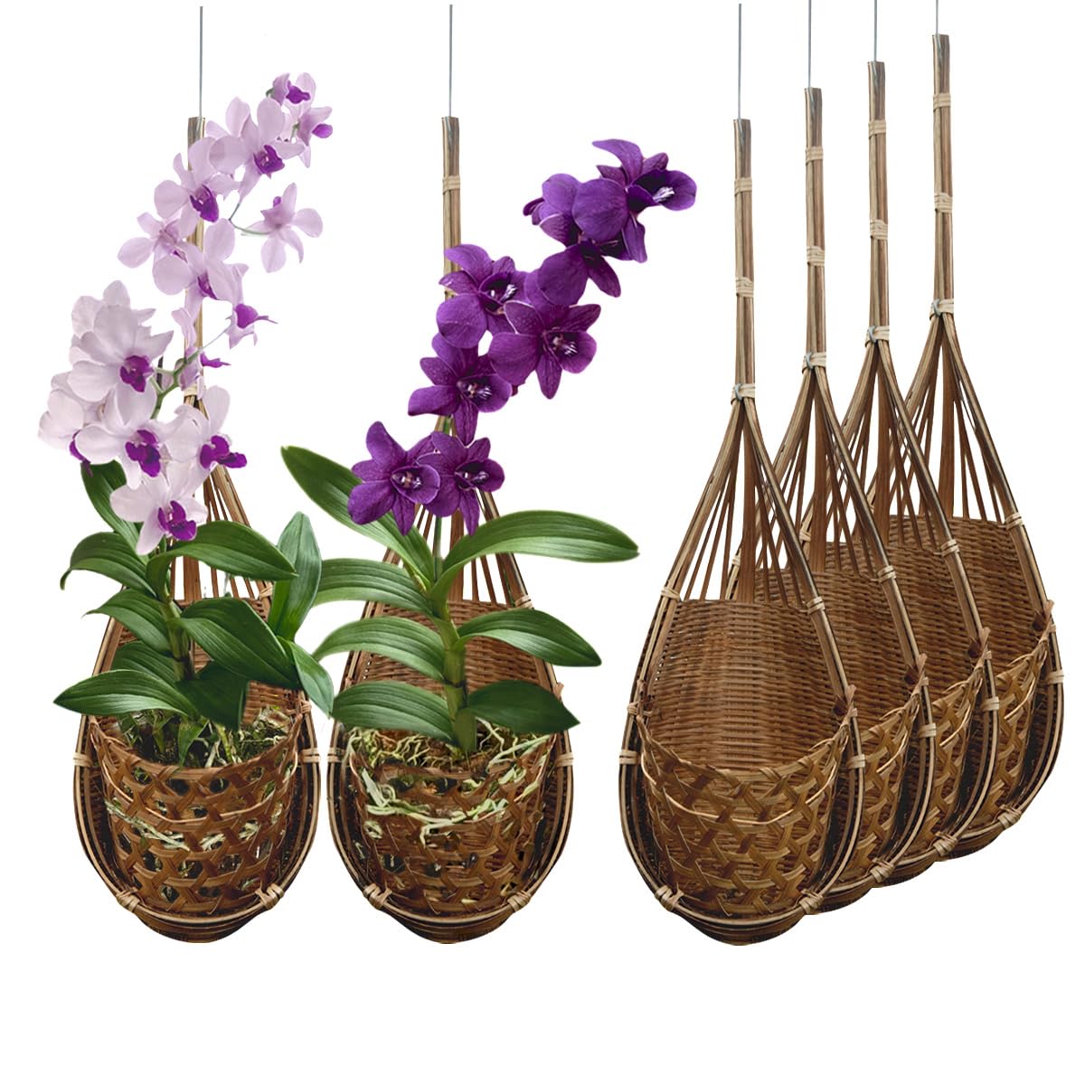 Amazon.com: PANWA Handmade 100% Thai Bamboo Hanging Orchid Basket  4 Inch  Set of 6 : Patio, Lawn & Garden
