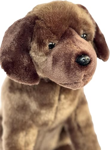 Miniatura 7 de Auswella Perro de peluche de Labrador Retriever de 15 pulgadas, elige una postura (sentado marrón)