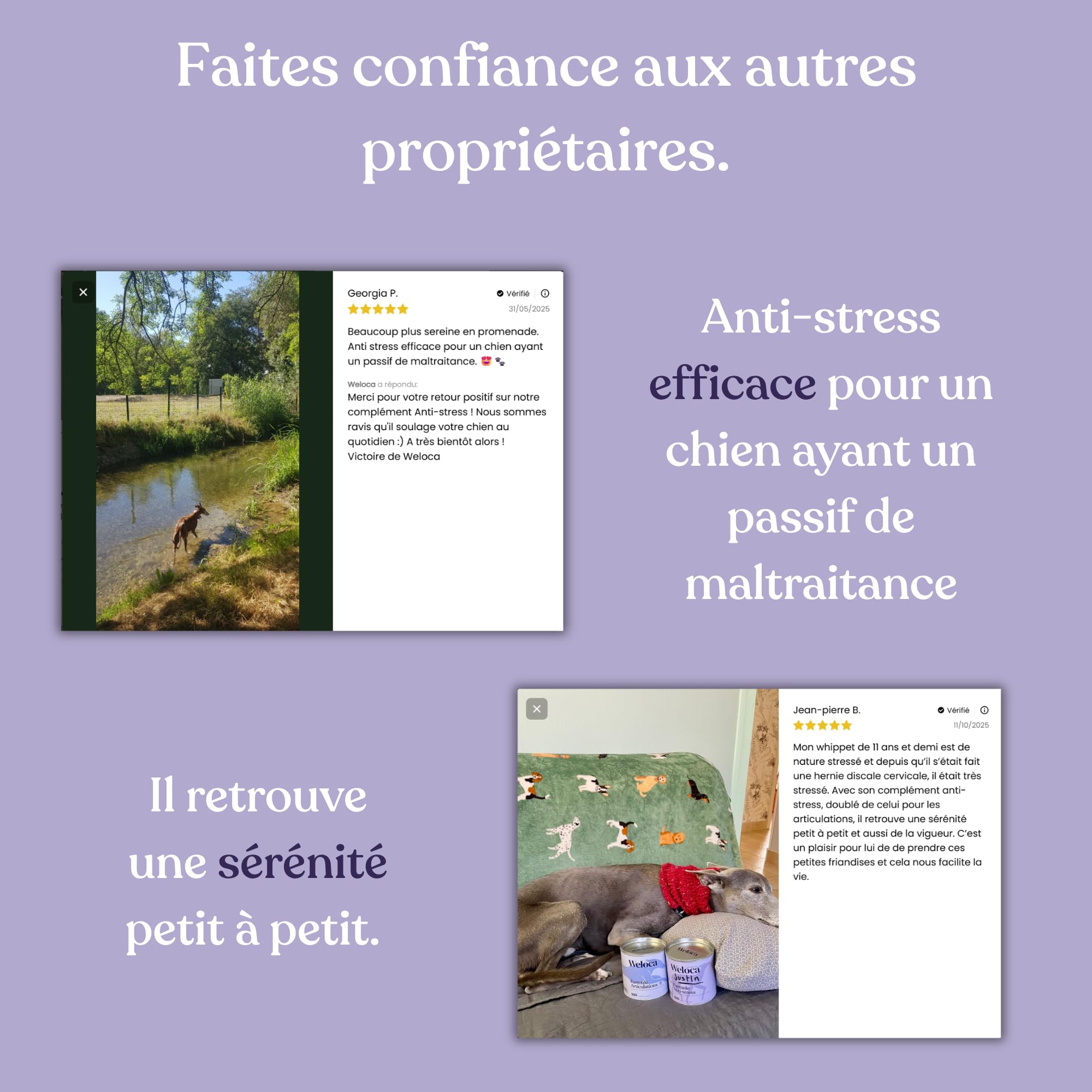 Anti-stress chien - 13 Actifs puissants naturels - Calmant pour chiens stressés, anxieux, réactifs, chiens hyperactifs - 120 compléments apaisants - Complément alimentaire chien - Nouvelle formule