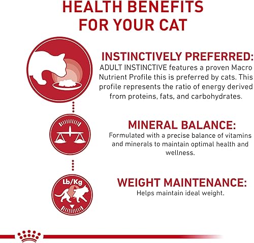 Miniatura 10 de Royal Canin Feline Health Nutrition - Alimento enlatado instintivo para adultos, rebanadas finas en salsa, lata de 3 onzas (18 unidades)