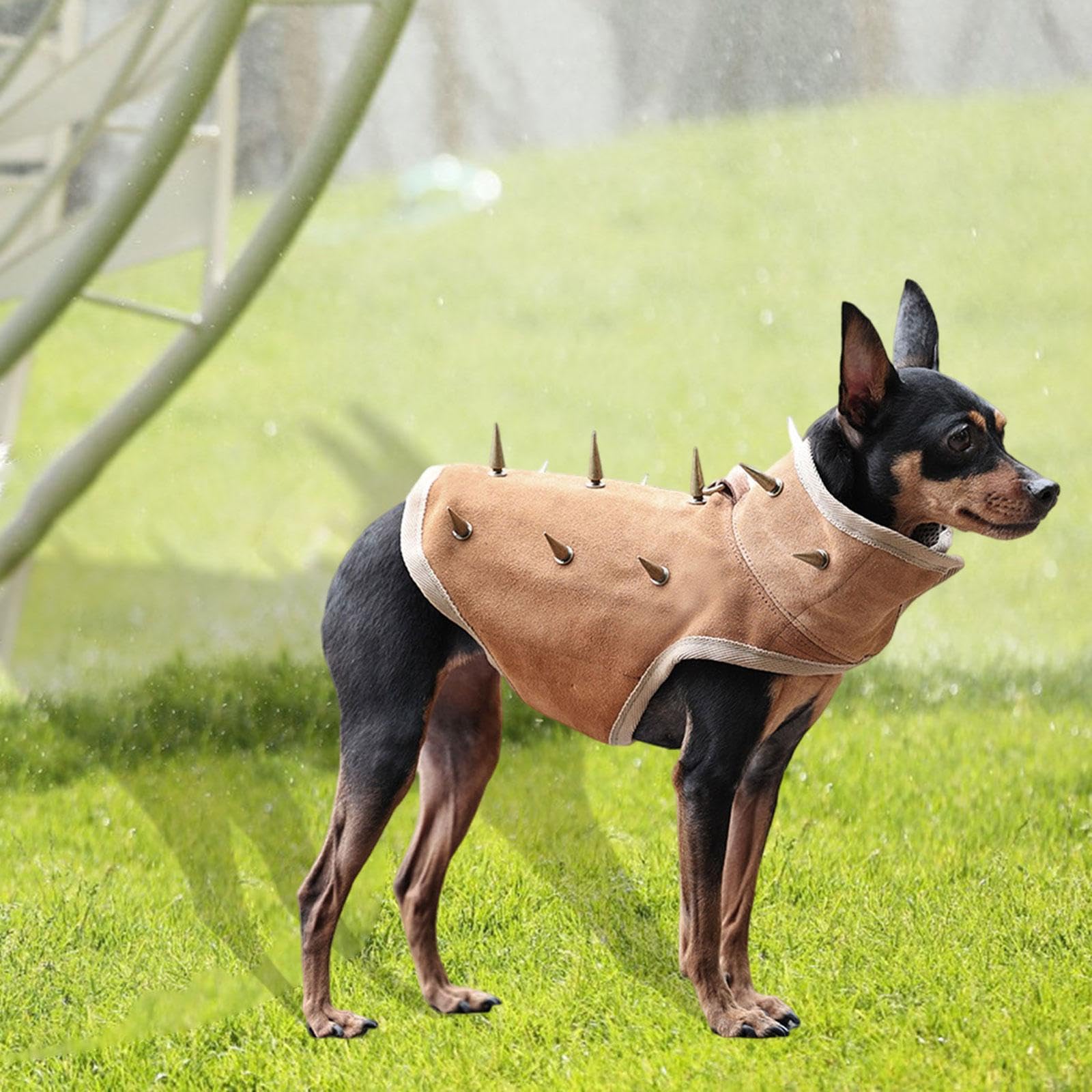 Chaleco Protector para Perros, Chaqueta Tipo, Arnés Ajustable, Transpirable, con Función Anti-mordeduras, Adecuado para Paseos, S