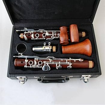 Amazon | G クラリネット ダイレクトサプライ 銀メッキ木製