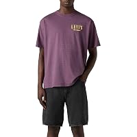 Levi's Maglietta da Uomo Vintage Fit Graphic Tee, Logo Serif Grigio/Viola