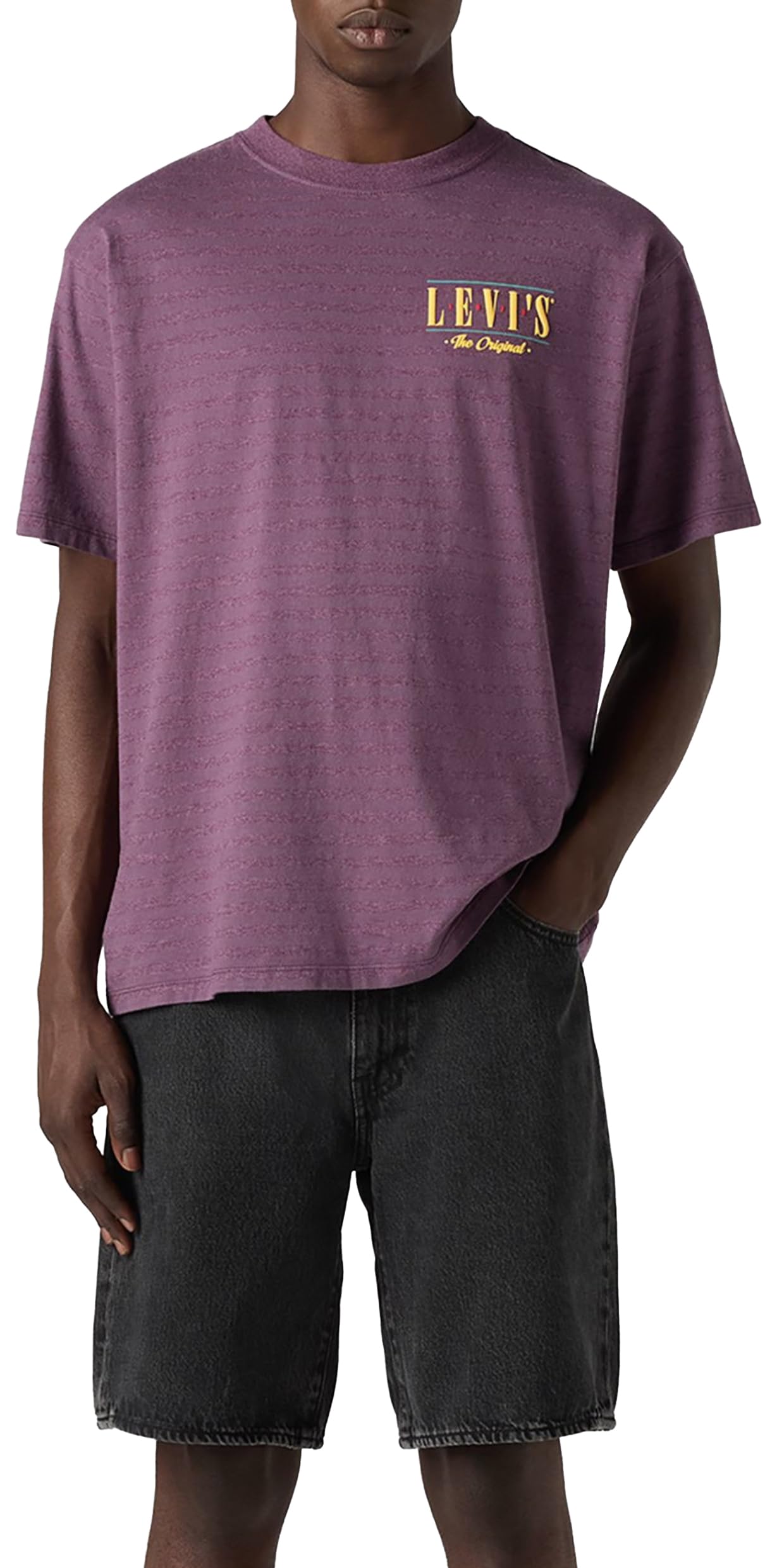 Levi's Vintage Fit Graphic Tee Serif Logo Grey, Serif Logo Grey/Viol, M