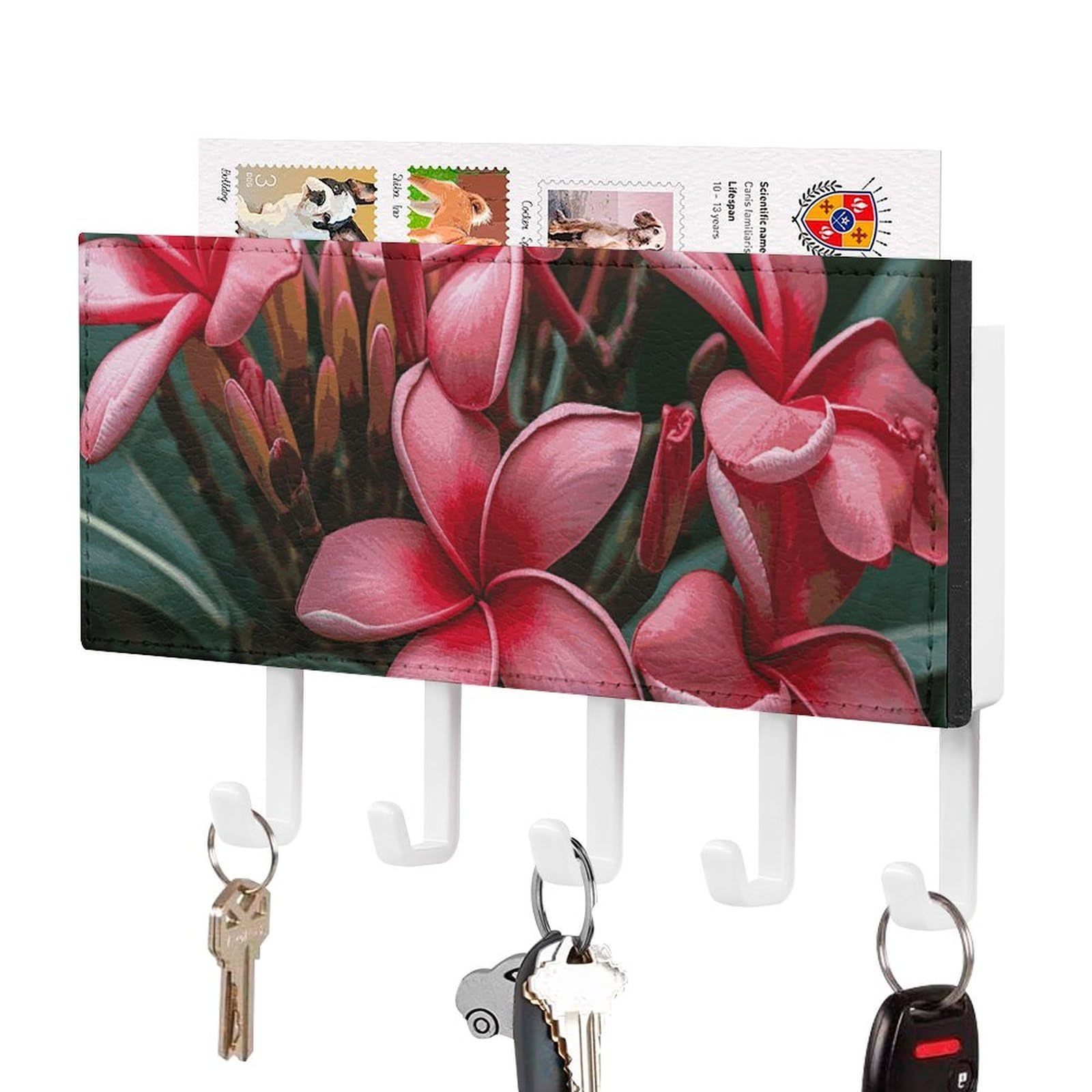 DWVTSLH Plumeria Key Holder for Wall, Decorative Key Hooks with Mail Organizer & 5 Hooks, Self Adhesive Leather Key Hanger for Entryway, Wall Mounted Key Rack (7.1” X 4.3” X 0.9”)