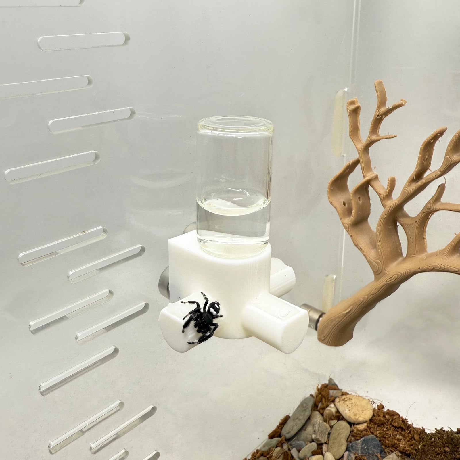 Jumping Spider Water Dispenser, Magnetic Hanging Feeder,Suitable for Jumping Spiders,Tarantulas, Praying Mantises,Arboreal Animals, and Other Small Animal Enclosure Accessories (White, 5ML)
