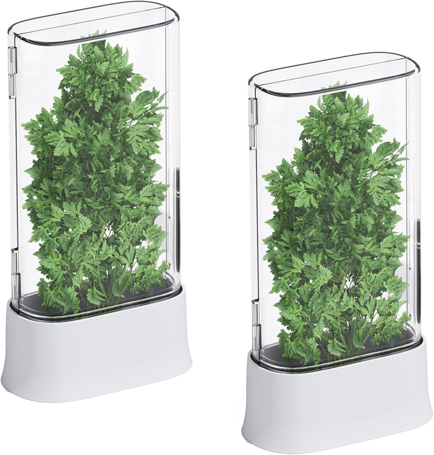 vacane Herb Keeper for Refrigerator, Fresh Herb Saver Herb