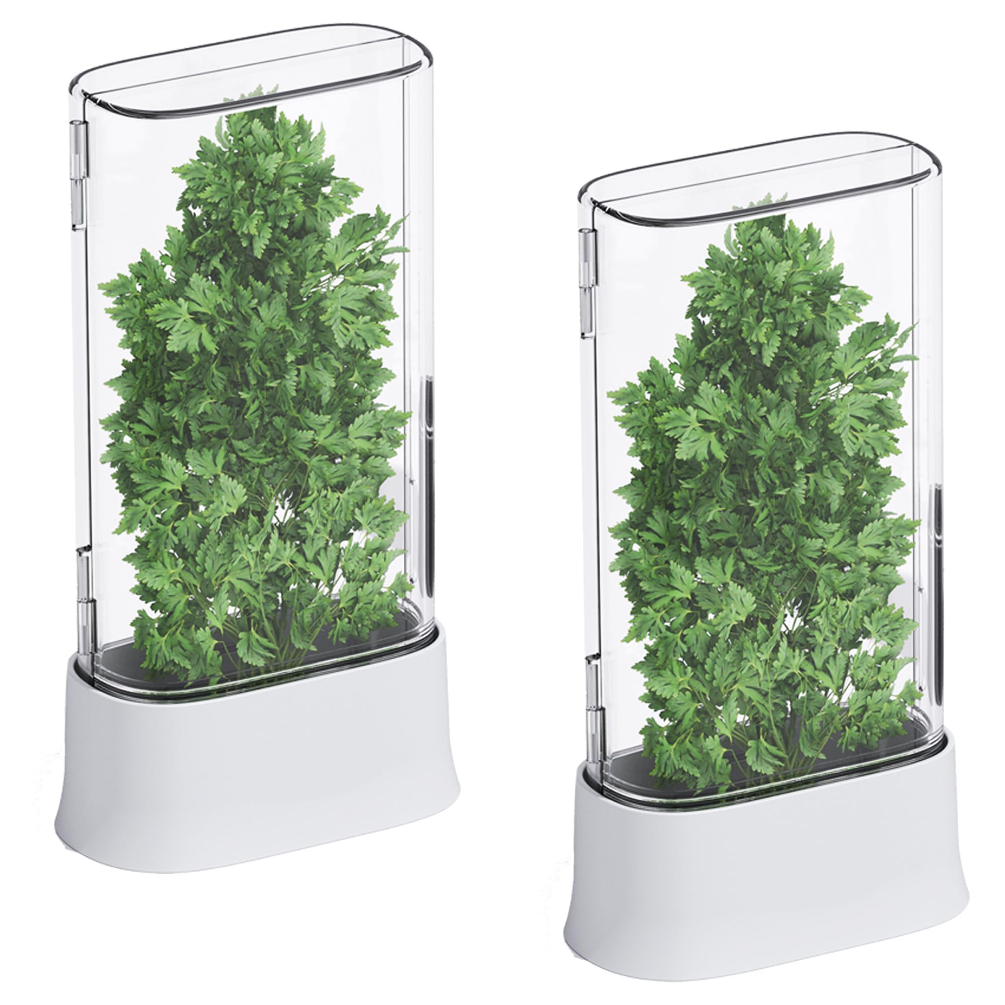 vacane Herb Keeper for Refrigerator, Fresh Herb Saver Herb Storage Containers, Cilantro Container for Fridge Asparagus Container, Dishwasher Safe-2 Pack