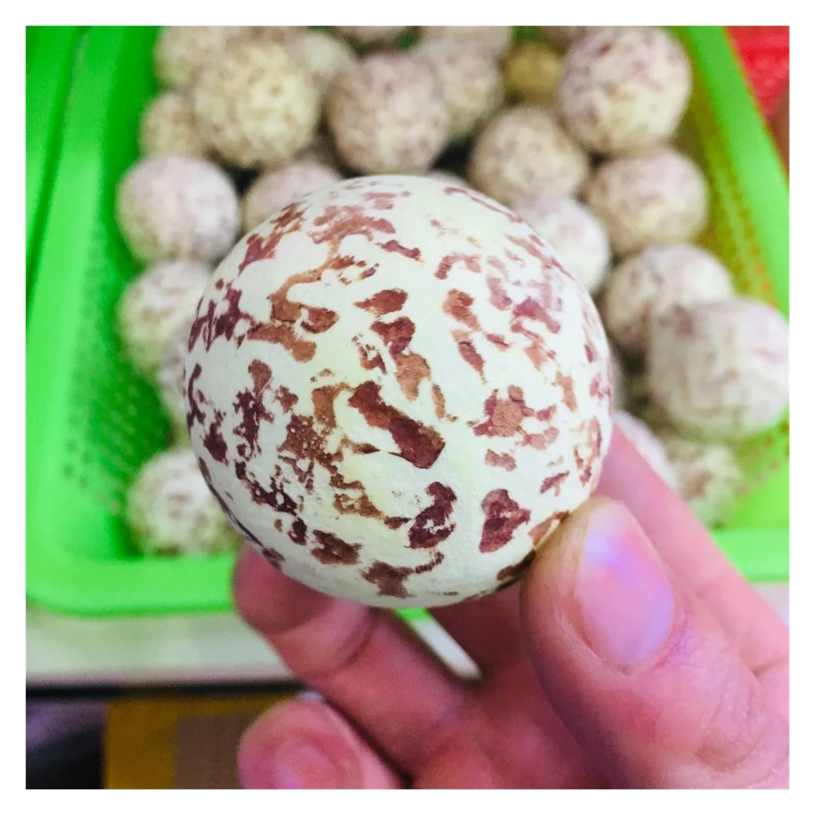 水晶球　約1.5kg 10㎝ 水晶球 約1.5kg 10㎝ 水晶球 約1.5kg 10㎝