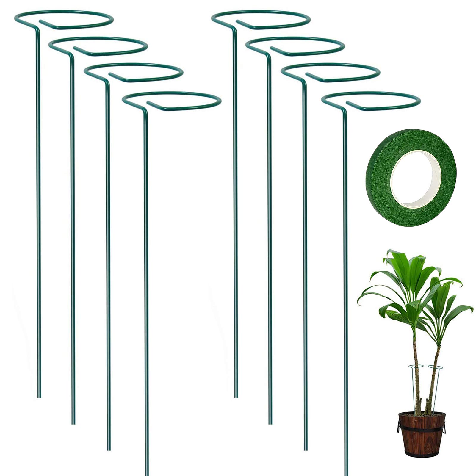 Buy plantsupportgardenstakes Online in South Africa at Low Prices at