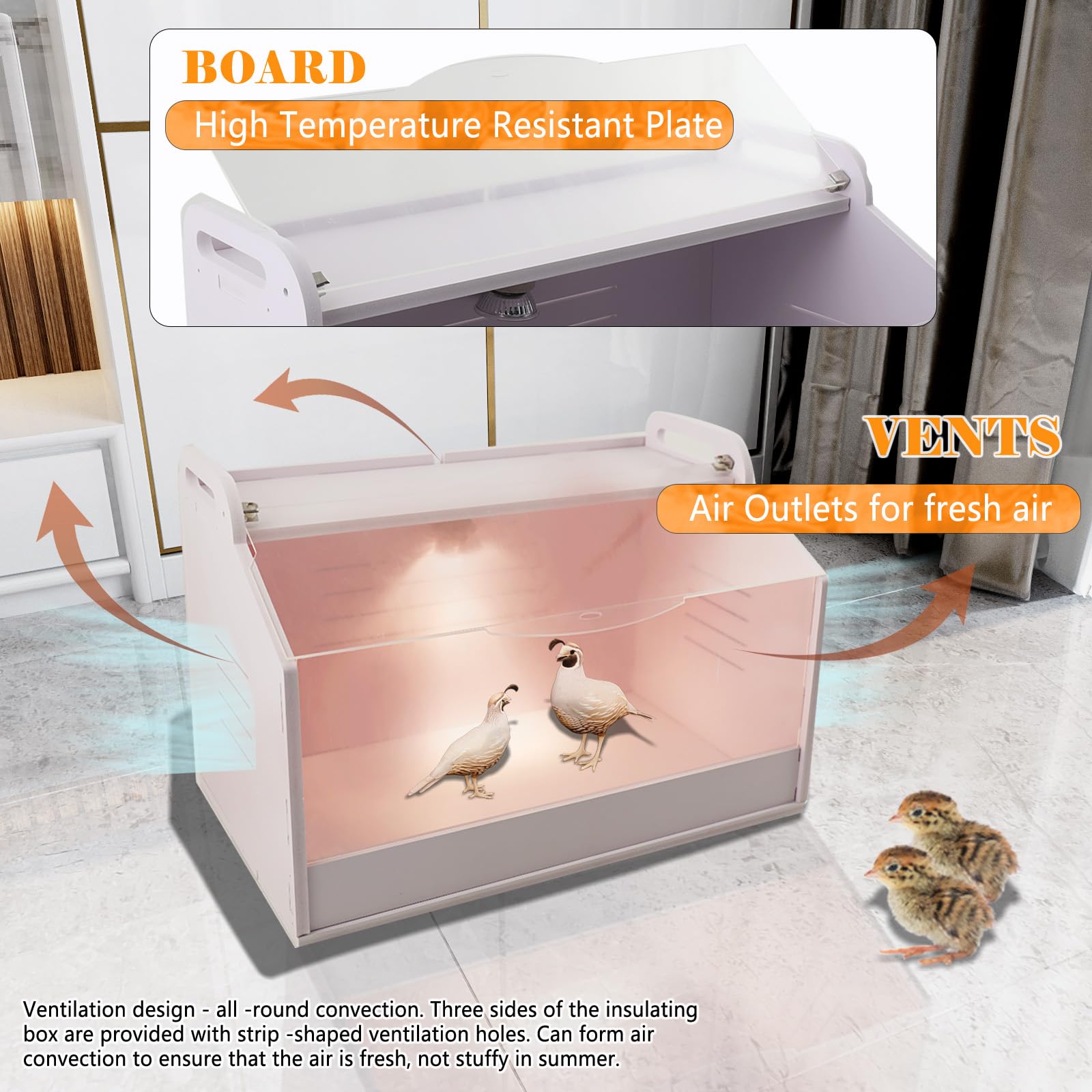 Incubatore per Pulcini con Termometro e Lampada, Scatola di Calore per Pulcini, Scatola di Allevamento per Pollame, Rettili e Piccoli Animali 220V