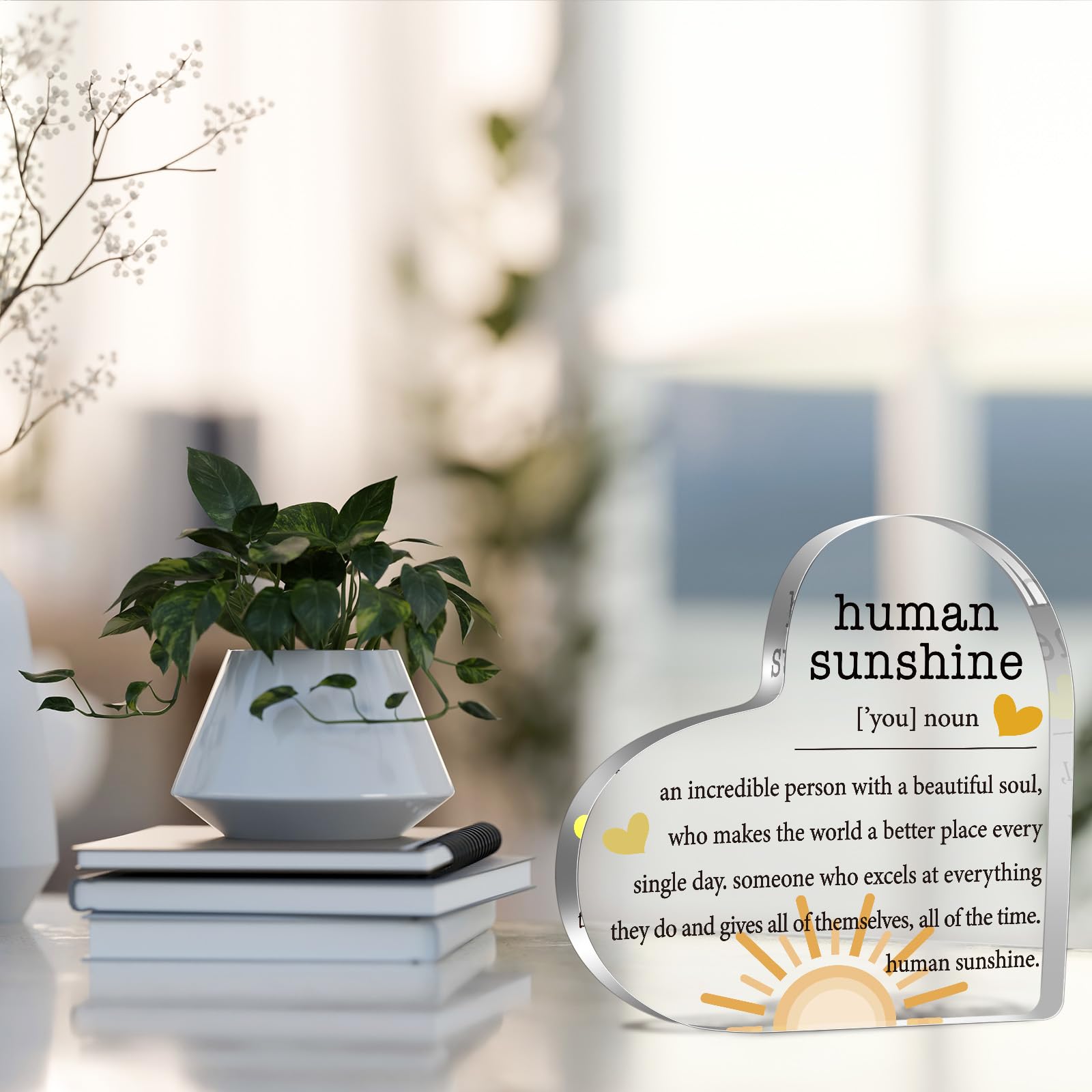 Fall Thank You Gifts for Women, Inspirational Quotes Gifts, Human Sunshine Gifts, Motivational Gifts, Appreciation Gifts for Teacher Friends Coworkers Doctor Nurse, Acrylic Desk Sign Decor