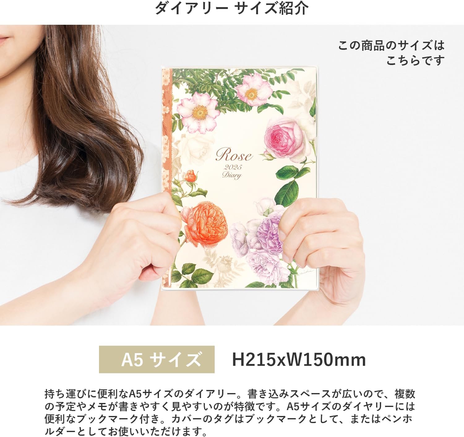 Frontier DY-109 Notebook, 2025, A5, Monthly, Classic Rose, Beige Vertical Belt (Begins December 2024)