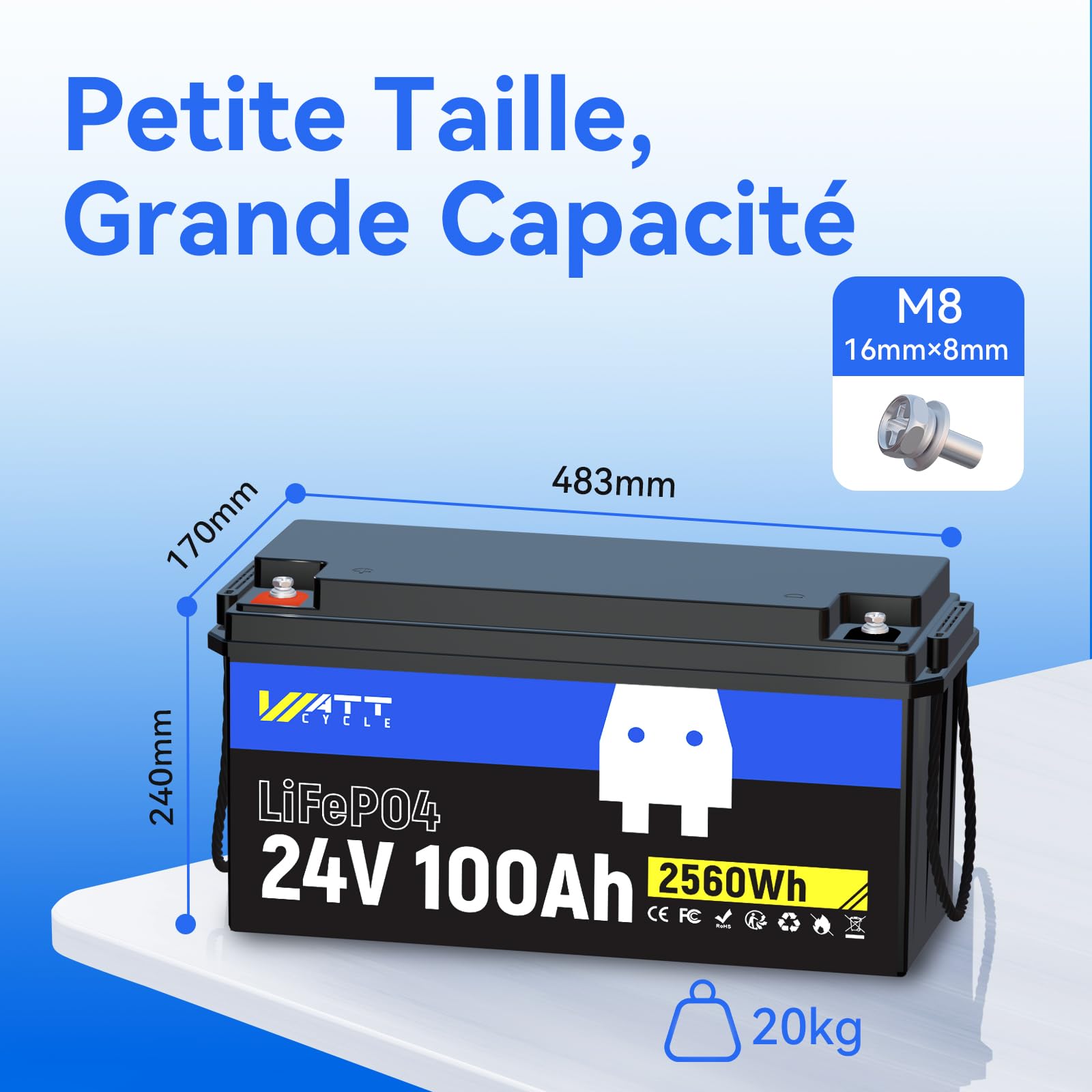 Batterie Lithium 24V 100Ah,24v LiFePO4 Batterie avec Protection de 100A BMS
