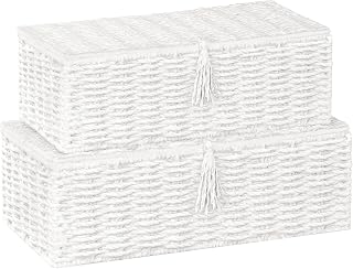Vagusicc Wicker Shelf Baskets with Lid, Set of 2 Handwoven Wicker Storage Baskets for Shelves, Rectangular Storage Bins with Lids, Decorative Storage Boxes, Small Wicker Baskets for Organizing, White
