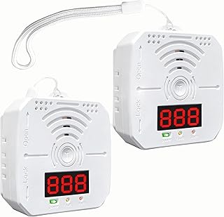 2 Pack Travel Carbon Monoxide Detector with Battery Operated,Portable co2 Detector Alarm for Home, Car, RV
