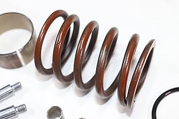 【K】要修理 GIANT LIV AMICA 2018年 Amazon.com: Drive Converter/Clutch Rebuild Kit Compatible with