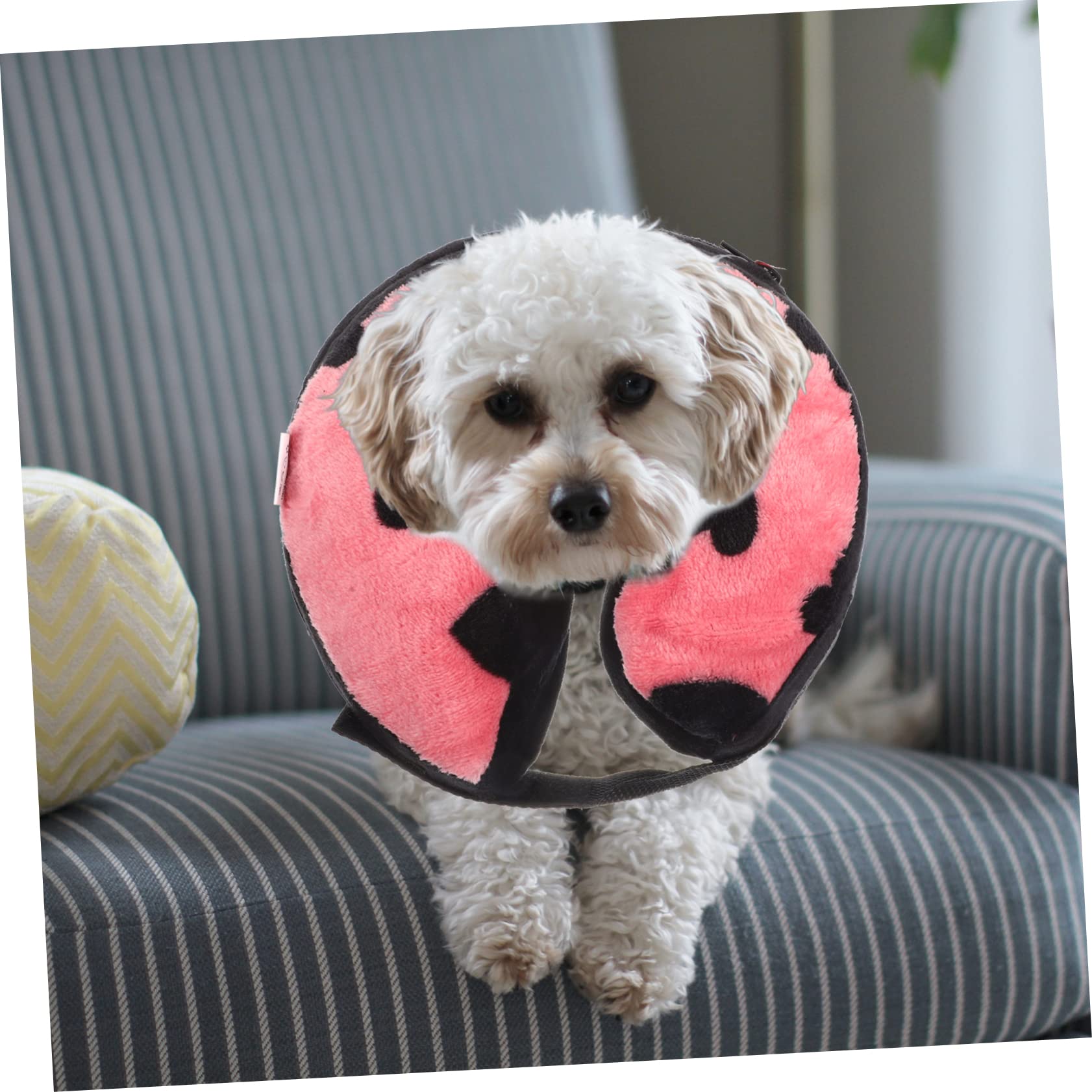 Toddmomy 2piezas Collar Inflable De para Mascotas Collar Protector para Gatos y Perros Accesorio De Post- Previene Rasguños y Mordeduras Comodidad y Portabilidad
