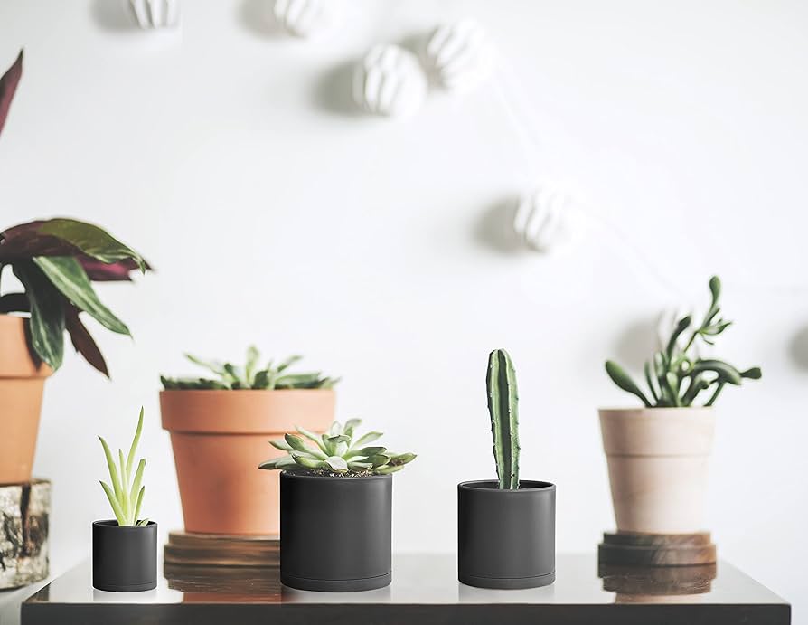 D.I.P. プラスチックポット 植木鉢 Amazon.co.jp: Toodall 植木鉢 プラスチック製 32個入り 8色 多肉植物