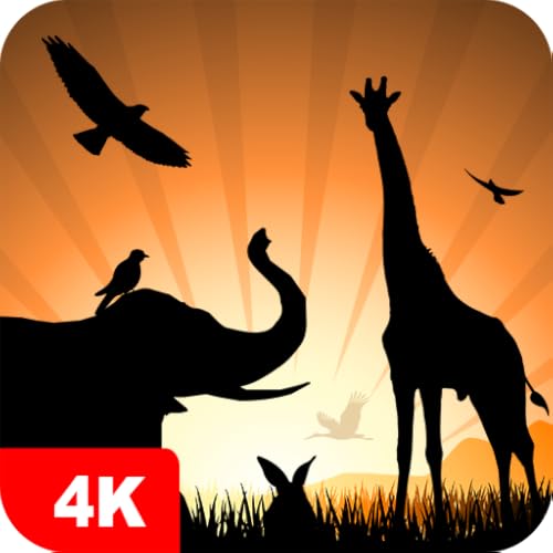 Animal Wallpapers 4K & HD Backgrounds apps