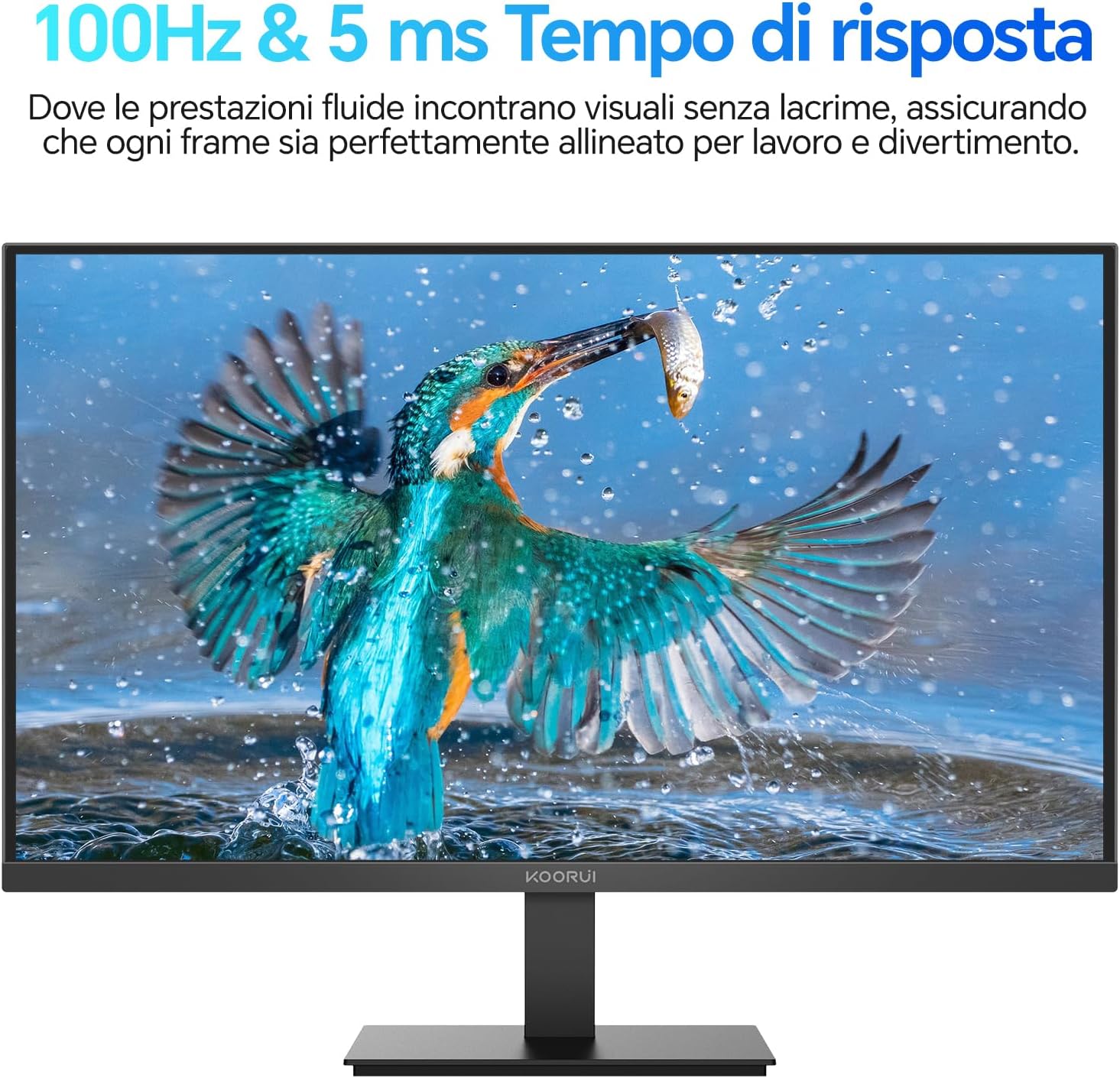 E2412F Monitor PC 24 pollici - Monitor - Immagine 1