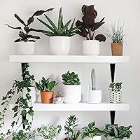 Vista 6 de 20 soportes de estante de 8 pulgadas, soporte flotante de acero negro resistente, soportes en L para estantes, soportes decorativos de montaje