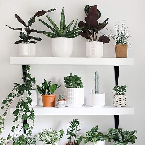 Miniatura 6 de 20 soportes de estante de 8 pulgadas, soporte flotante de acero negro resistente, soportes en L para estantes, soportes decorativos de montaje