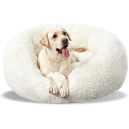 large circle dog bed