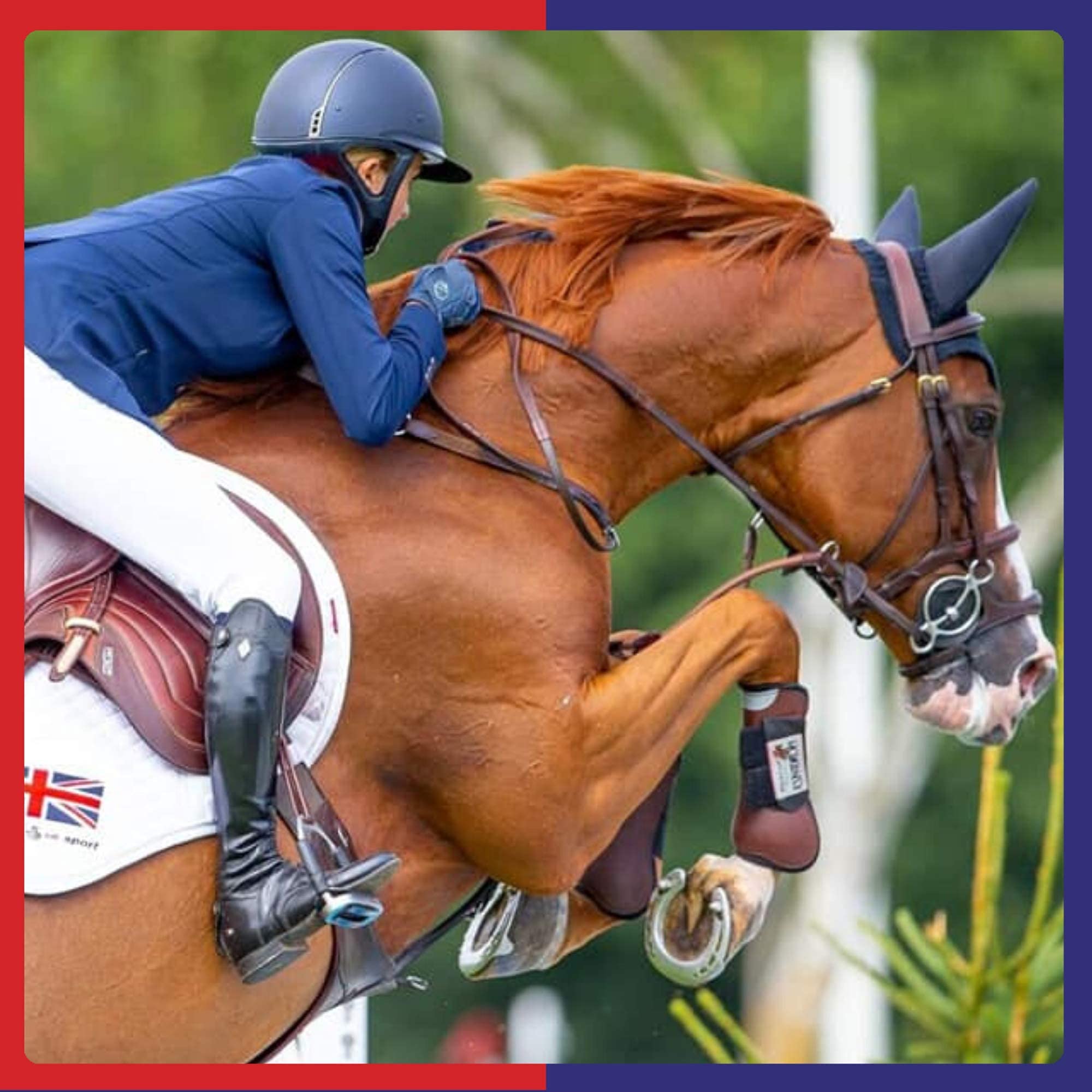 Polvo Original de Alta Resistencia Equine America Buteless | Premium Listo para el Uso del suplemento Horse & Pony | Soporte para articulaciones y Movilidad | 3 kg