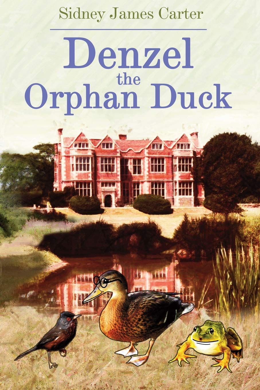 Denzel The Orphan Duck