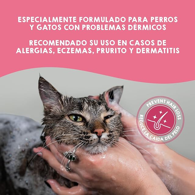 Foto 3 de 7 de MAIKAI Champu Natural Perros Gatos Piel Sensible con Aloe Vera Biotina Hidratante Calmante Antipicores pH…