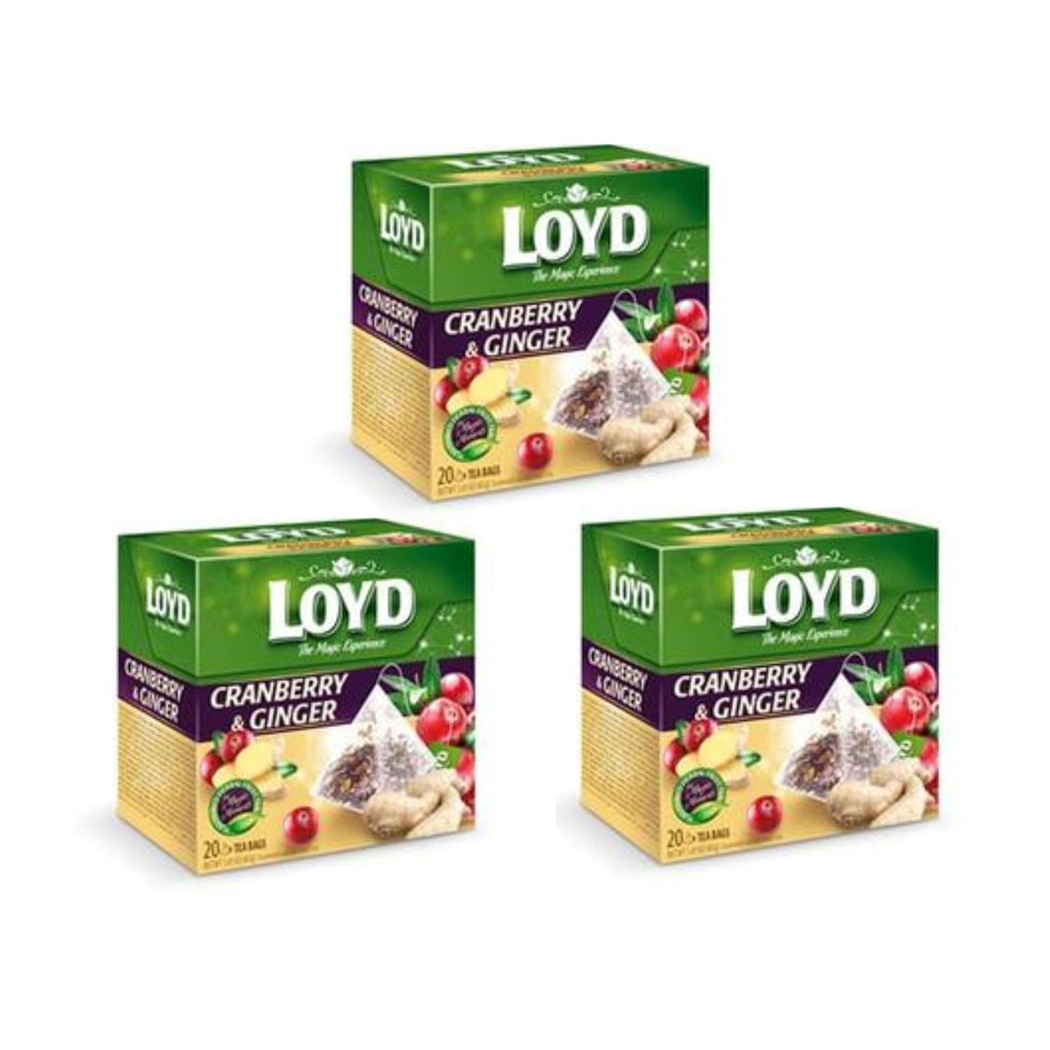LOYD Cranberry & Ginger Flavor Fruit Tea - 20 x 3 Teabag Envelopes