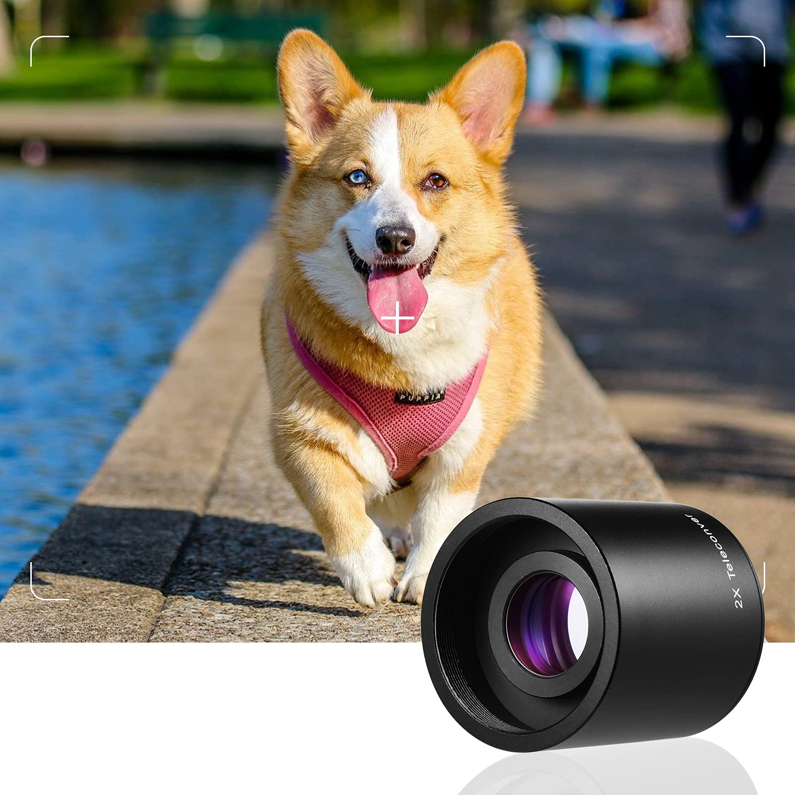 Amazon | 2X テレコンバーターレンズ コンバーター望遠レンズ 650