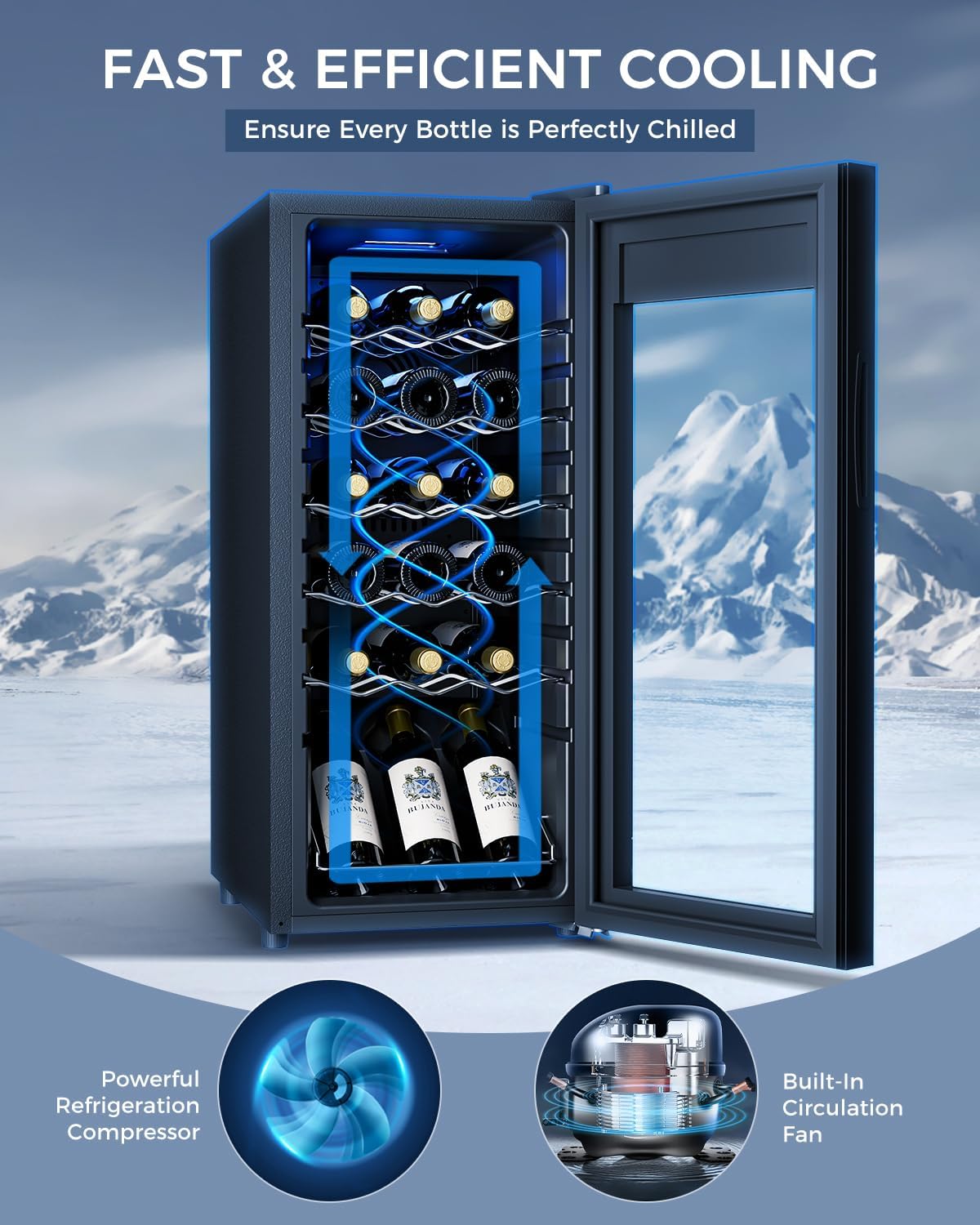 18 Bottle Compressor Wine Cooler Refrigerator - Freestanding Wine Fridge with Glass Door & Digital Temperature Control, Wine Refrigerator for Red, White, Champagne or Sparkling Wine, Black