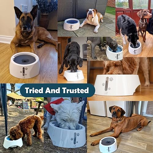 Miniatura 9 de BARKING&MAD - Cuenco de agua antiderrames para perros, 73.9 onzas (2.1 litros), dispensador de alimentación de agua lento para razas grandes y