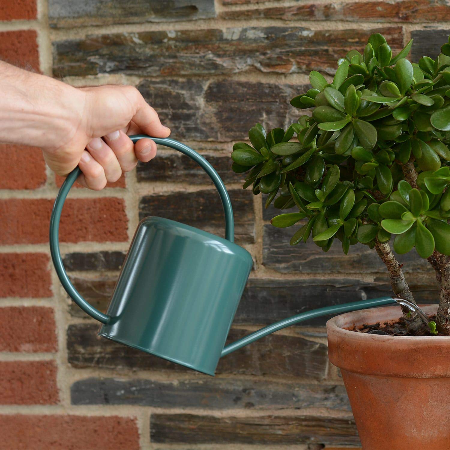 CKB LTD® - Regadera Interior de Acero galvanizado con Recubrimiento en Polvo para Plantas de Interior, diseño contemporáneo de Metal con Pico Estrecho y Mango Alto, 1,4 L Verde Oscuro