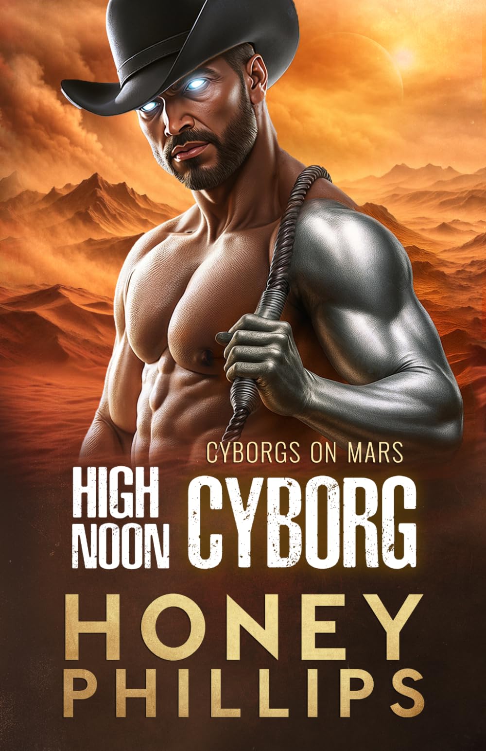 Cover of High Noon Cyborg