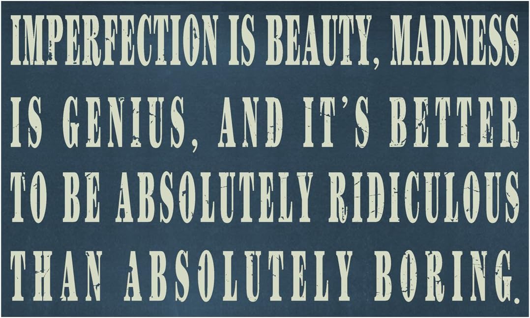 Imperfection Is Beauty Sign-Madness Is Genius Sign--Ridiculous Sign Positive Thought With Black plaque