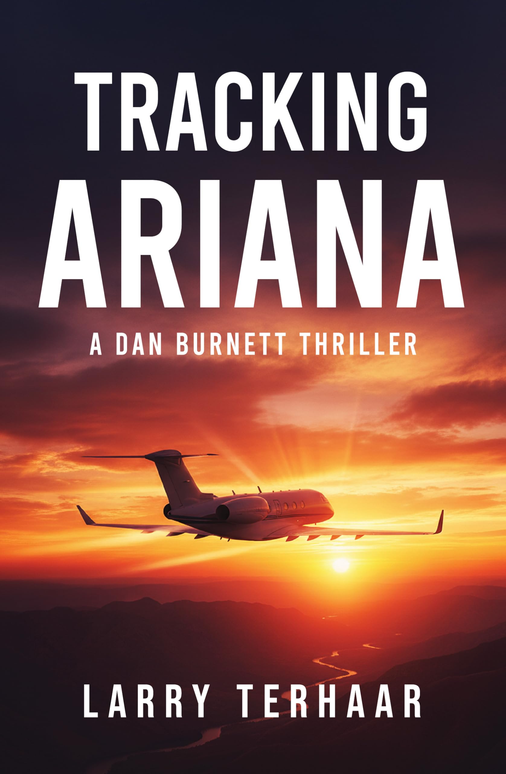 Tracking Ariana (A Dan Burnett Private Detective Mystery/Thiller)