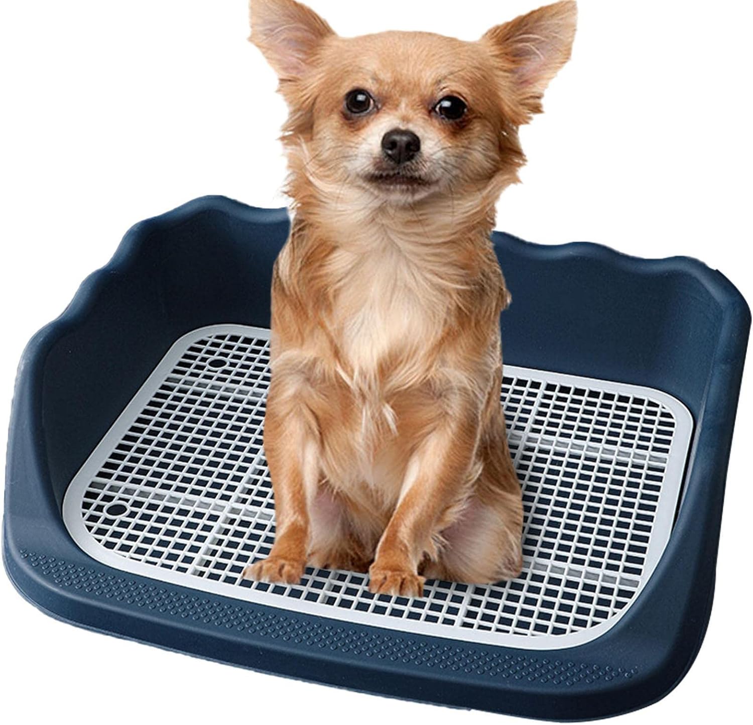 Dog Potty Tray NoSpill Dog Potty Tray with Wall for Dogs To Pee