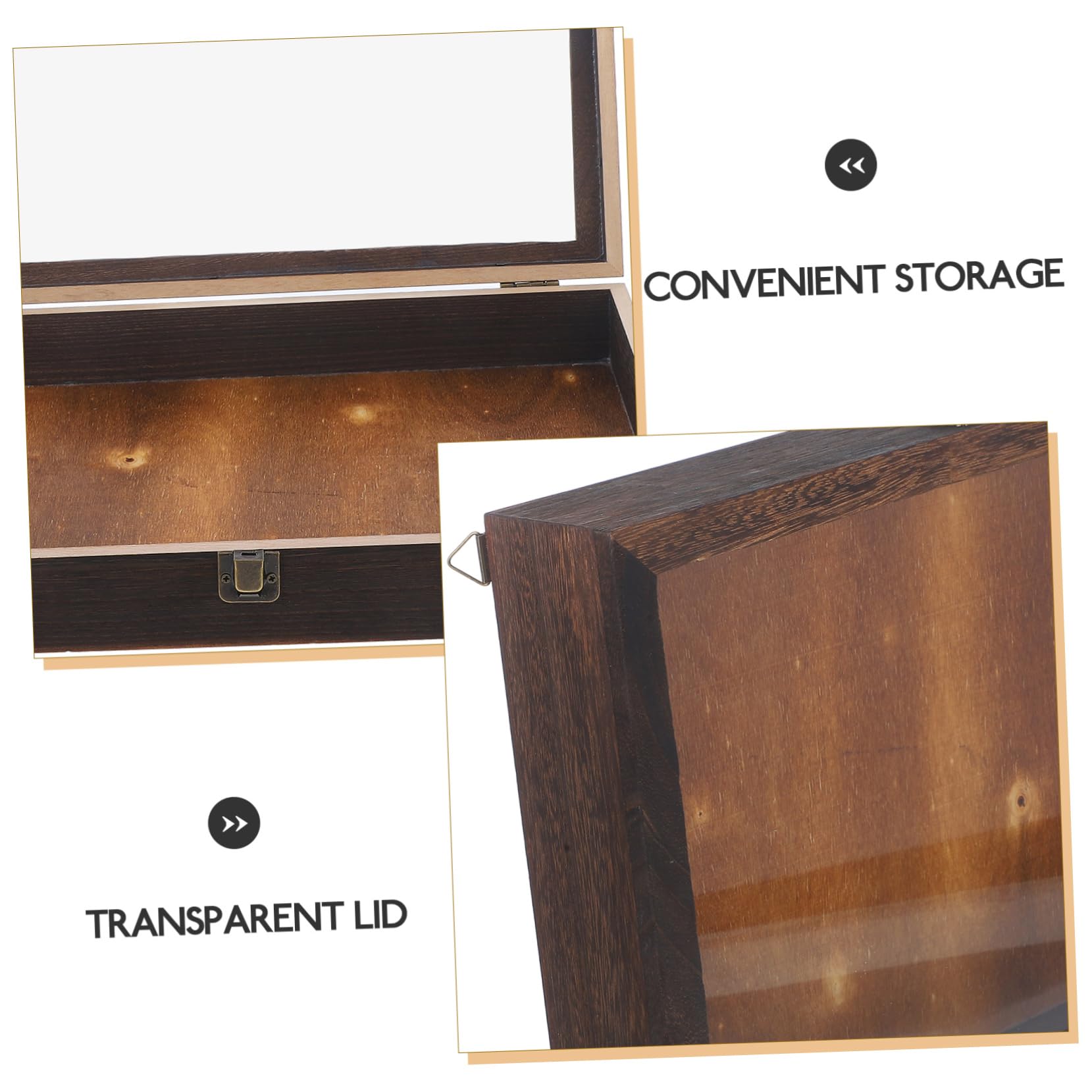 Mobestech Scatola per Conservazione Farfalle e Campioni di Visualizzazione Insetti in Legno Custodia Vintage Coperchio Trasparente per Gioielli e Artigianato