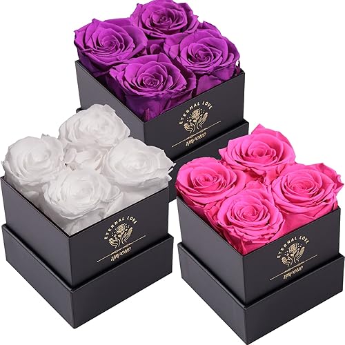 Impouo Rosas preservadas rosa radiante+púrpura+blanco, flores para entrega Prime - Rosas en una caja - Rosas reales que duran un año - Flores