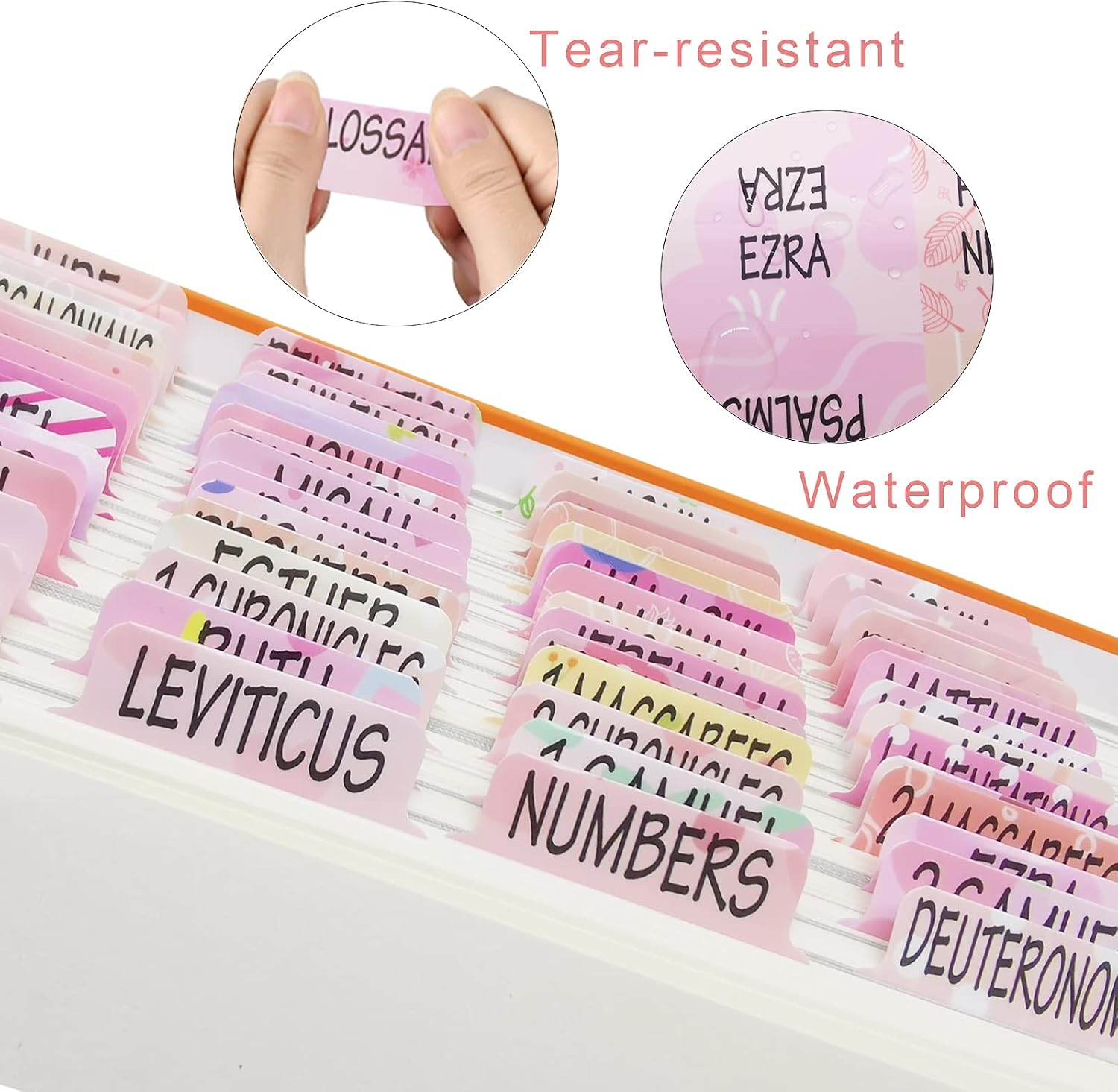 Bible Tabs for Women, Bible Index Tabs Old & New Testament for Study Bible, Journaling Supplies, 100 Laminated Book Tabs - 66 Books Plus 7 Catholic Books, 8 Ref, 19 Write-on, Easy to Read - 2 Pack image 4