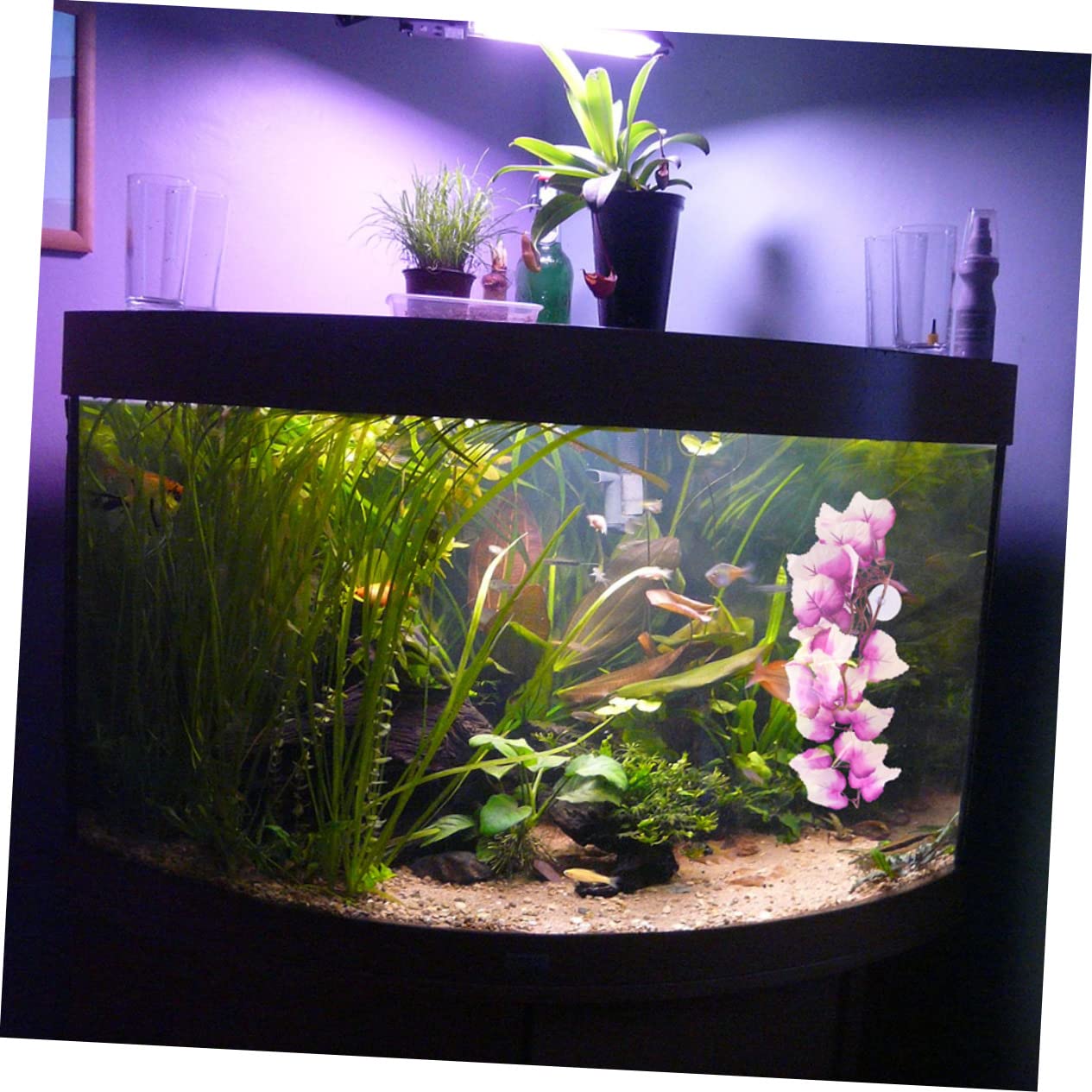ABOOFAN 10piezas Plantas Falsas Decorativas para Terrarios De Reptiles Accesorios De Reptiles Resistentes Al Desgaste Plantas para Acuarios y Terrarios