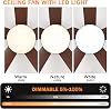 Smart Modern Style Led Ceiling Fans with Lights Reversible Dimmable and Silent Ceiling Fans with Lights and Remote Control Suitable for Bedrooms Living Rooms and Kitchens,Black-42