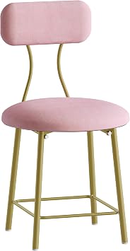 Hzuaneri Dressing Table Chair with Gold Legs, Vanity Chair Stool with Soft Padding, Makeup Dressing Table Stool for Bedroom, Living Room, Velvet Pink VS32603AV1